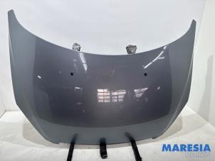 Gebruikte Motorkap Peugeot 307 CC (3B) 2.0 16V Prijs € 75,00 Margeregeling aangeboden door Maresia Parts