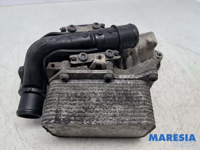 Gebruikte Oliefilterhuis Renault Master III (FV) 2.3 dCi 170 16V FWD Prijs € 127,05 Inclusief btw aangeboden door Maresia Parts