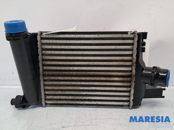 Intercooler Renault Clio IV Estate/Grandtour (7R), 2012 / 2021 0.9 Energy TCE 90 12V, Combi/o, 4Dr, Benzine, 898cc, 66kW (90pk), FWD, H4B408; H4BB4, 2015-03 / 2021-08, 7R22; 7R24; 7R32; 7R2R; 7RB2; 7RD2; 7RD4; 7RE2 (Gebruikt)