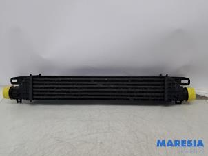 Gebruikte Intercooler Alfa Romeo Giulietta (940) 1.4 TB 16V Prijs € 50,00 Margeregeling aangeboden door Maresia Parts