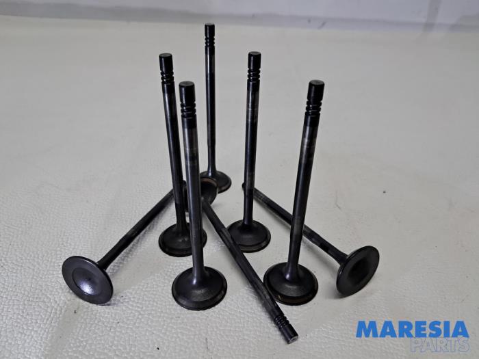 Gebruikte Inlaatklep Renault Megane III Grandtour (KZ) 1.2 16V TCE 115 Prijs € 32,50 Margeregeling aangeboden door Maresia Parts