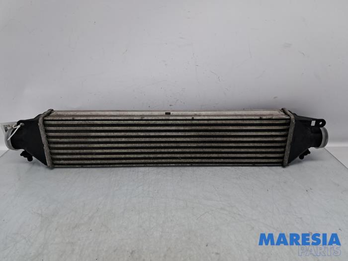 Gebruikte Intercooler Opel Combo 1.3 CDTI 16V Prijs € 87,73 Inclusief btw aangeboden door Maresia Parts