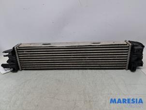 Gebruikte Intercooler Renault Trafic (1FL/2FL/3FL/4FL) 1.6 dCi 95 Prijs € 72,60 Inclusief btw aangeboden door Maresia Parts