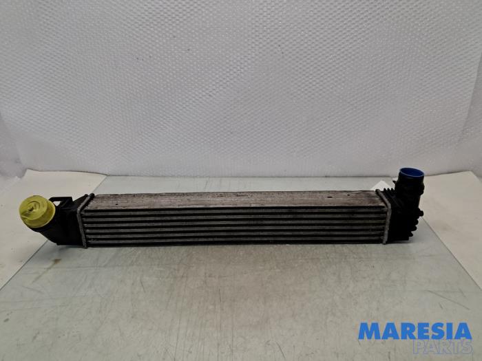 Gebruikte Intercooler Renault Scénic III (JZ) 1.5 dCi 110 Prijs € 45,00 Margeregeling aangeboden door Maresia Parts