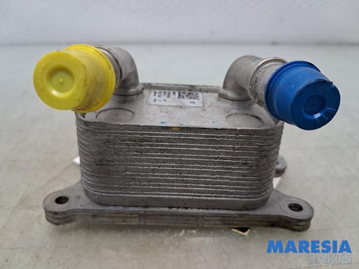 Gebruikte Oliekoeler Renault Clio IV Estate/Grandtour (7R) 0.9 Energy TCE 90 12V Prijs € 30,00 Margeregeling aangeboden door Maresia Parts