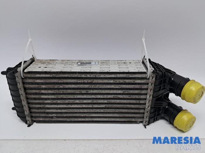 Gebruikte Intercooler Citroen C3 (SX/SW) 1.2 12V e-THP PureTech 110 Prijs € 39,00 Margeregeling aangeboden door Maresia Parts