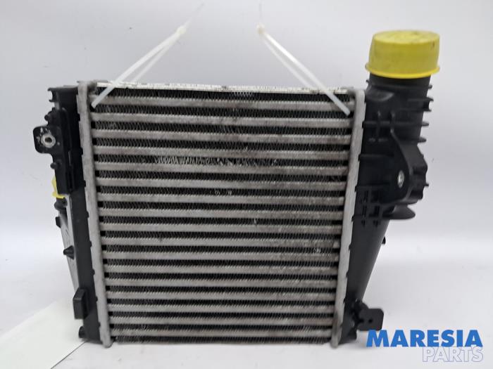 Gebruikte Intercooler Peugeot 308 SW (L4/L9/LC/LJ/LR) 1.6 BlueHDi 120 Prijs € 49,95 Margeregeling aangeboden door Maresia Parts