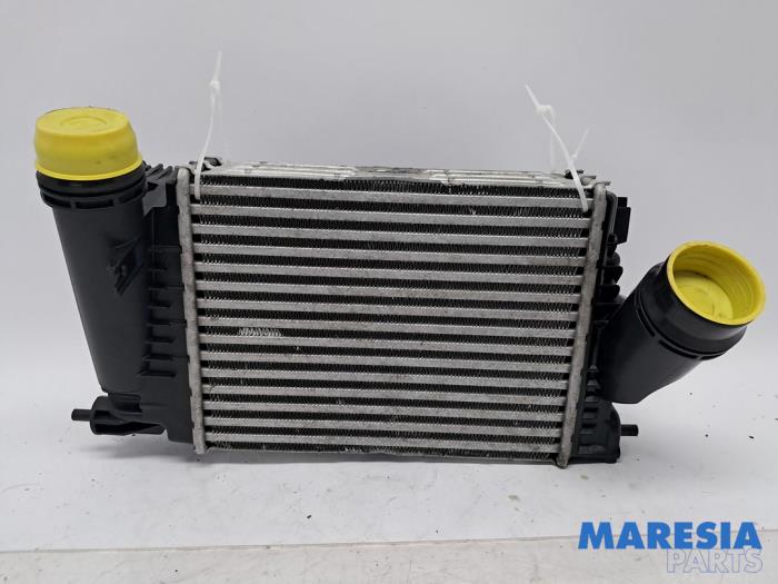 Gebruikte Intercooler Renault Espace (RFCJ) 1.6 Tce 200 Prijs € 74,99 Margeregeling aangeboden door Maresia Parts