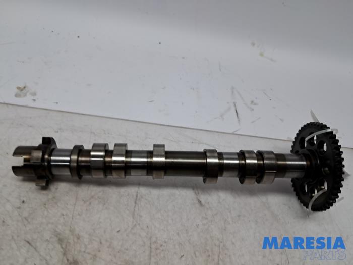 Gebruikte Nokkenas Fiat 500 (312) 0.9 TwinAir 80 Prijs € 89,99 Margeregeling aangeboden door Maresia Parts