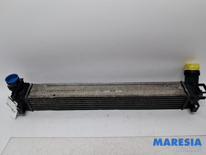 Gebruikte Intercooler Renault Megane III Grandtour (KZ) 1.2 16V TCE 115 Prijs € 30,00 Margeregeling aangeboden door Maresia Parts