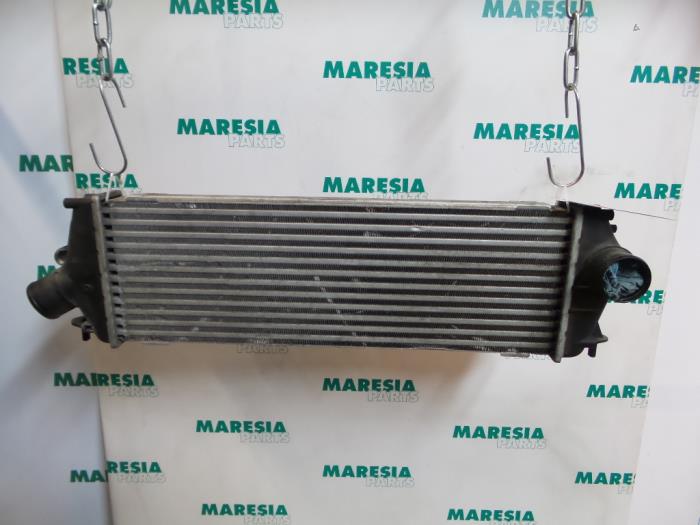 Gebruikte Intercooler Renault Trafic New (FL) 2.0 dCi 16V 90 Prijs € 30,25 Inclusief btw aangeboden door Maresia Parts