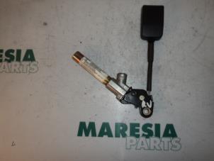 Gebruikte Gordelspanner rechts Citroen Berlingo Multispace 1.9 D Prijs € 20,00 Margeregeling aangeboden door Maresia Parts