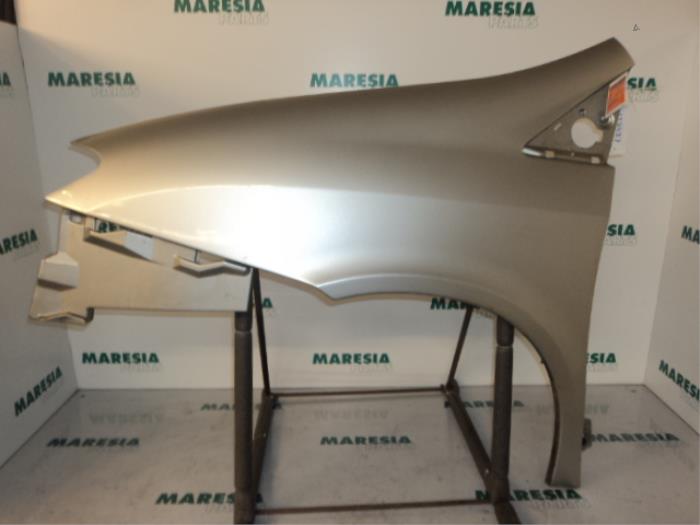 Scherm links-voor van een Lancia Phedra 2.2 JTD 16V 2002