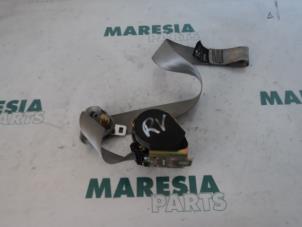 Gebruikte Veiligheidsgordel rechts-voor Renault Twingo (C06) 1.2 Prijs € 25,00 Margeregeling aangeboden door Maresia Parts
