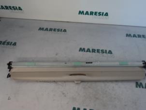 Gebruikte Schuifdak Renault Grand Scénic II (JM) 2.0 16V Prijs € 105,00 Margeregeling aangeboden door Maresia Parts