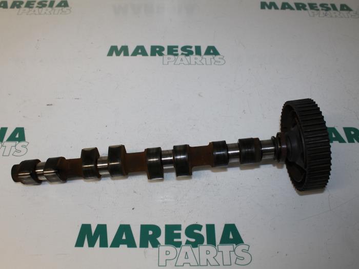 Gebruikte Nokkenas Fiat Stilo (192A/B) 1.8 16V 3-Drs. Prijs € 85,00 Margeregeling aangeboden door Maresia Parts