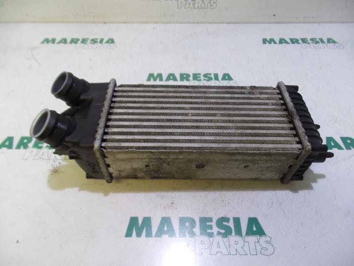 CITROËN Xsara Picasso 1 generation (1999-2010) Interkūlerio radiatorius 0384G5 23006039