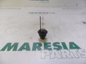 Gebruikte Xenon Lamp Lancia Thesis (841) 2.4 JTD Prijs € 75,00 Margeregeling aangeboden door Maresia Parts