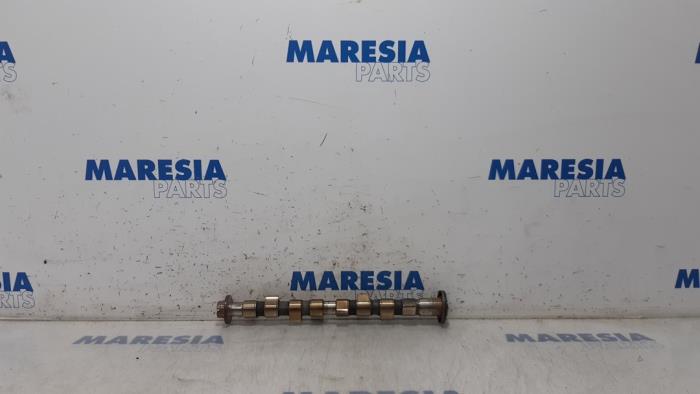 Gebruikte Nokkenas Fiat Panda (169) 1.2 Fire Prijs € 75,00 Margeregeling aangeboden door Maresia Parts