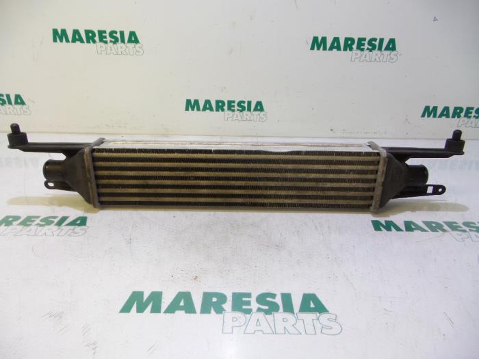 Gebruikte Intercooler Fiat Grande Punto (199) 1.3 JTD Multijet 16V VGT Prijs € 35,00 Margeregeling aangeboden door Maresia Parts