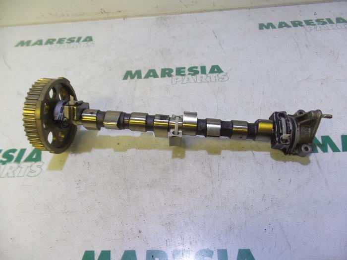 Gebruikte Nokkenas Fiat Panda (169) 1.2 Fire Prijs € 75,00 Margeregeling aangeboden door Maresia Parts