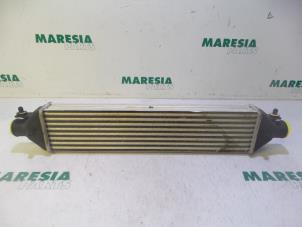 Gebruikte Intercooler Lancia Delta (844) 1.6 D Multijet 16V 120 Prijs € 35,00 Margeregeling aangeboden door Maresia Parts