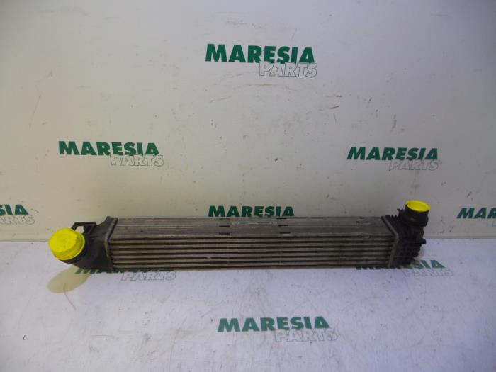 Gebruikte Intercooler Renault Grand Scénic III (JZ) 1.5 dCi 110 Prijs € 30,00 Margeregeling aangeboden door Maresia Parts