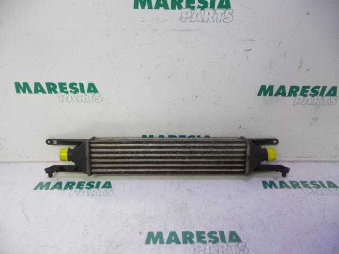 Gebruikte Intercooler Fiat Punto Evo (199) 1.3 JTD Multijet Start&Stop 16V Van Prijs € 50,00 Margeregeling aangeboden door Maresia Parts