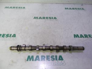 Gebruikte Nokkenas Renault Scénic II (JM) 1.5 dCi 85 Prijs € 105,00 Margeregeling aangeboden door Maresia Parts