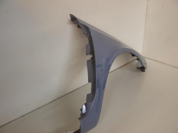 RENAULT Laguna 2 generation (2001-2007) Front Left Fender 