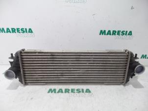 Gebruikte Intercooler Renault Trafic New (FL) 1.9 dCi 82 16V Prijs € 30,25 Inclusief btw aangeboden door Maresia Parts