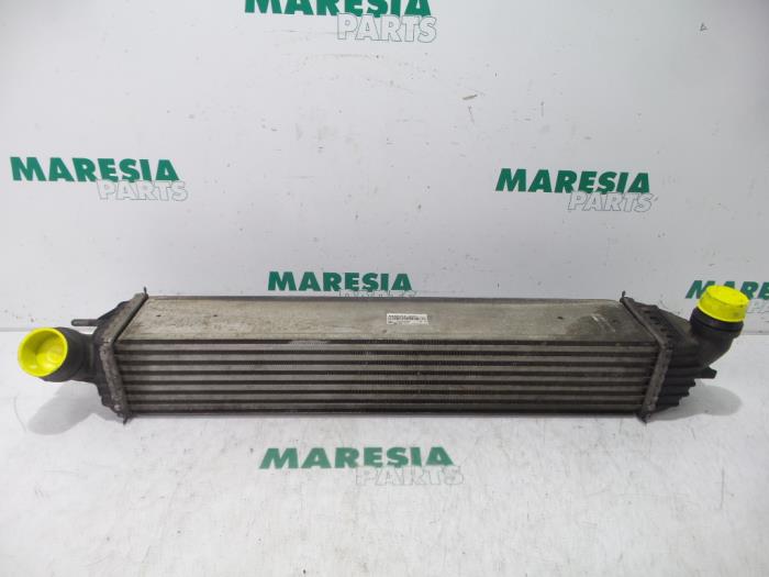 Gebruikte Intercooler Renault Laguna III Estate (KT) 2.0 Turbo 16V GT Prijs € 35,00 Margeregeling aangeboden door Maresia Parts