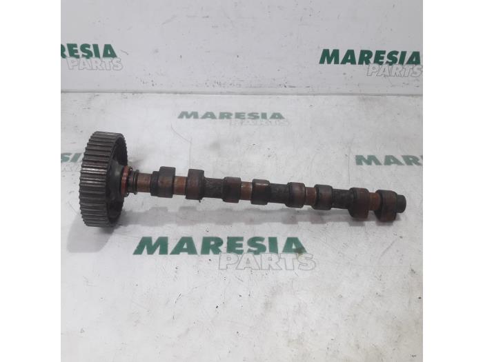 Gebruikte Nokkenas Fiat Stilo (192A/B) 1.8 16V 3-Drs. Prijs € 85,00 Margeregeling aangeboden door Maresia Parts