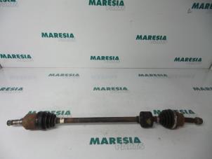 Gebruikte Aandrijfas rechts-voor Fiat Palio Weekend (178D) 1.6 16V Prijs € 40,00 Margeregeling aangeboden door Maresia Parts