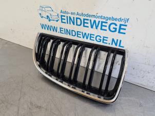 Gebruikte Grille BMW 3 serie (E90) 320i 16V Prijs € 10,00 Margeregeling aangeboden door Auto- en demontagebedrijf Eindewege