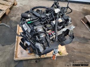 Gebruikte Motor Ford Focus 2 Wagon 1.6 TDCi 16V 110 Prijs € 315,00 Margeregeling aangeboden door Auto- en demontagebedrijf Eindewege