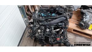 Gebruikte Motor Volkswagen Polo V (6R) 1.2 TDI 12V BlueMotion Prijs € 525,00 Margeregeling aangeboden door Auto- en demontagebedrijf Eindewege