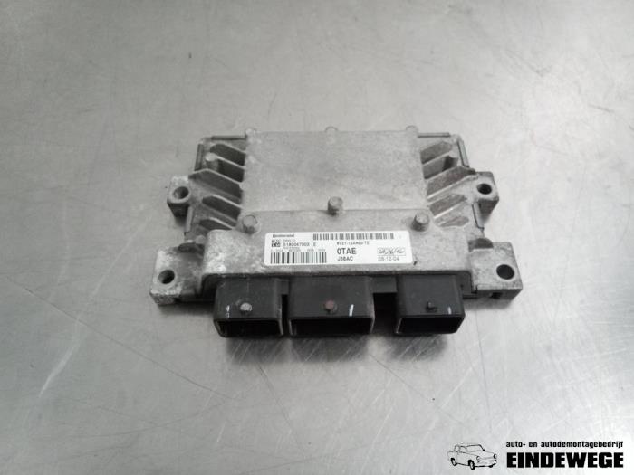 Gebruikte Computer Motormanagement Ford Fiesta 6 (JA8) 1.4 16V Prijs € 105,00 Margeregeling aangeboden door Auto- en demontagebedrijf Eindewege