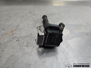 Gebruikte Bobine BMW X5 (E53) 3.0 24V Prijs € 10,00 Margeregeling aangeboden door Auto- en demontagebedrijf Eindewege