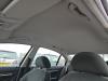 Skoda Superb (3U4) 1.8 20V Turbo Hemelbekleding