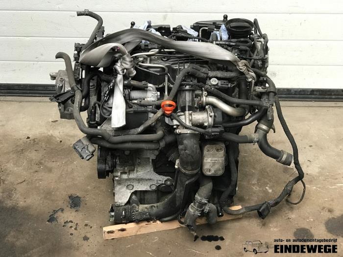 Gebruikte Motor Volkswagen Golf VI (5K1) 1.6 TDI 16V Prijs € 550,00 Margeregeling aangeboden door Auto- en demontagebedrijf Eindewege