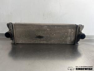 Gebruikte Intercooler Volkswagen Crafter 2.5 TDI 30/32/35/46/50 Prijs op aanvraag aangeboden door Auto- en demontagebedrijf Eindewege