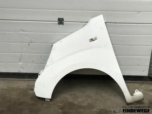 Gebruikte Scherm links-voor Peugeot Bipper (AA) 1.4 HDi Prijs € 65,00 Margeregeling aangeboden door Auto- en demontagebedrijf Eindewege