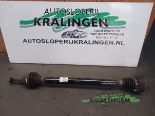 Gebruikte Cardanas rechts-voor (VWA) Volkswagen Golf Plus (5M1/1KP) 1.6 FSI 16V Prijs € 50,00 Margeregeling aangeboden door Autosloperij Kralingen B.V.