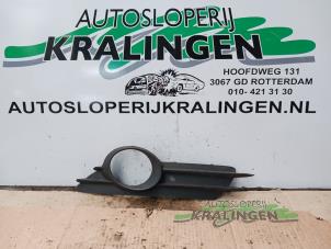 Gebruikte Afdekplaat mistlamp links Opel Corsa D 1.2 16V Prijs € 10,00 Margeregeling aangeboden door Autosloperij Kralingen B.V.
