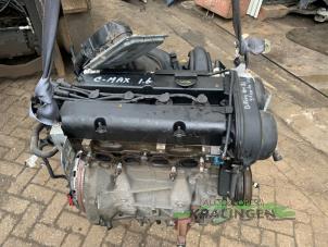 Gebruikte Motor Ford Focus C-Max 1.6 16V Prijs € 249,99 Margeregeling aangeboden door Autosloperij Kralingen B.V.