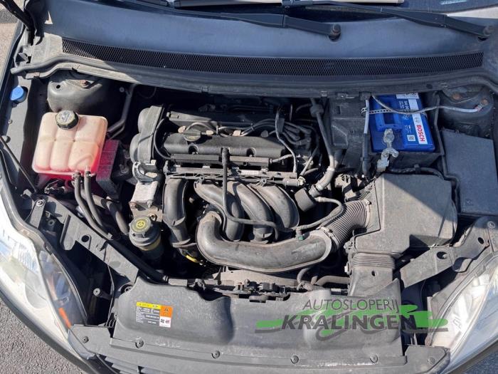 Gebruikte Motor Ford Focus 2 1.6 16V Prijs € 499,98 Margeregeling aangeboden door Autosloperij Kralingen B.V.