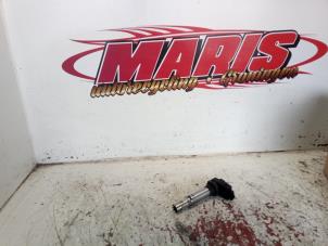 Gebruikte Pen Bobine Seat Ibiza III (6L1) 1.4 16V 75 Prijs € 10,00 Margeregeling aangeboden door Autosloopbedrijf gebr. Maris