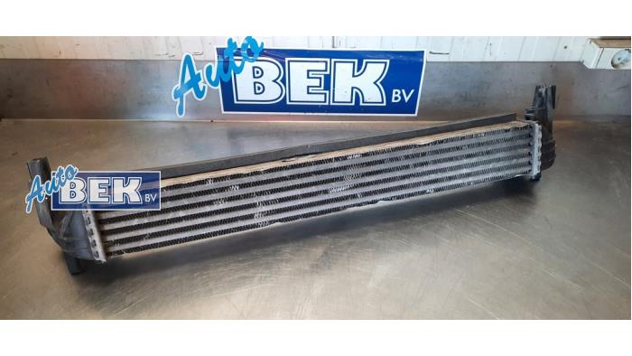 Gebruikte Intercooler Volkswagen Polo V (6R) 1.6 TDI 16V 90 Prijs € 30,00 Margeregeling aangeboden door Auto Bek