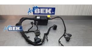 Gebruikte Kabel (diversen) Ford Transit Custom 2.0 TDCi 16V Eco Blue 105 Prijs op aanvraag aangeboden door Auto Bek